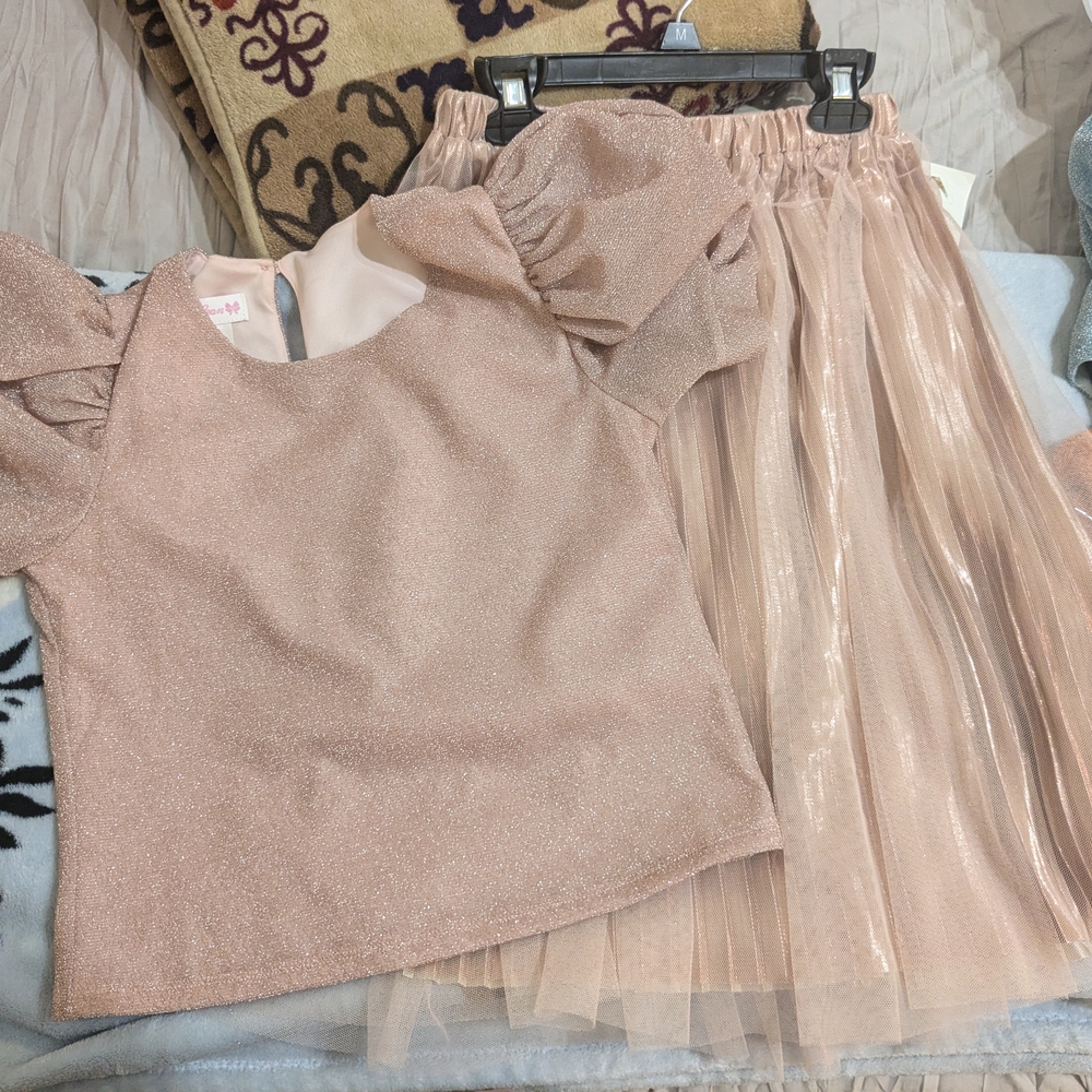 Girls' Shimmering Pink Top and Skirt Set